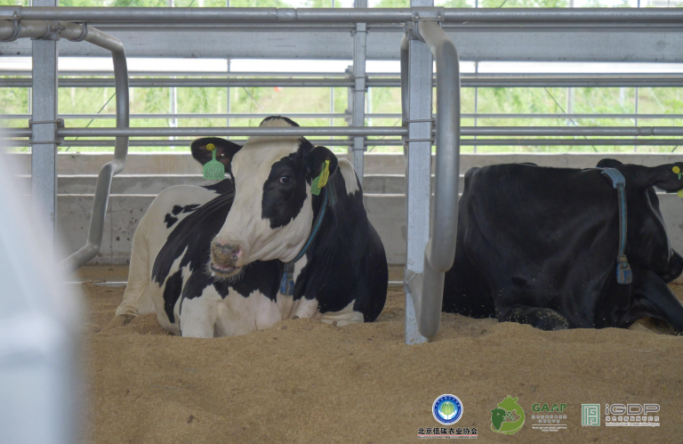 The “Hidden Carbon Footprint” Behind Our Plates: Food Supply Chain Emission Reduction Is Imperative