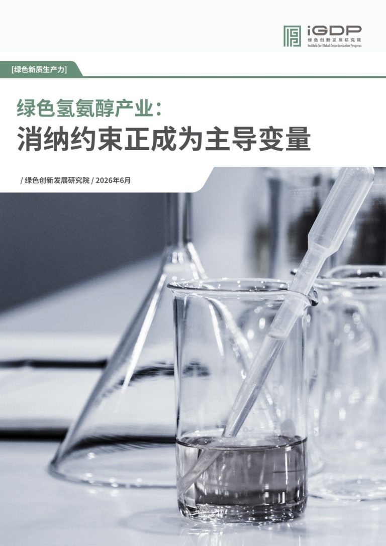 Consumption Constraints in Green Hydrogen Amino Acid Industry