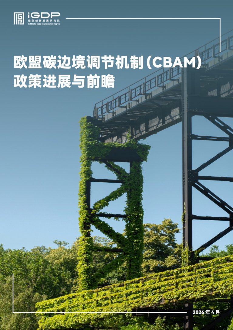 The EU’s Carbon Border Adjustment Mechanism