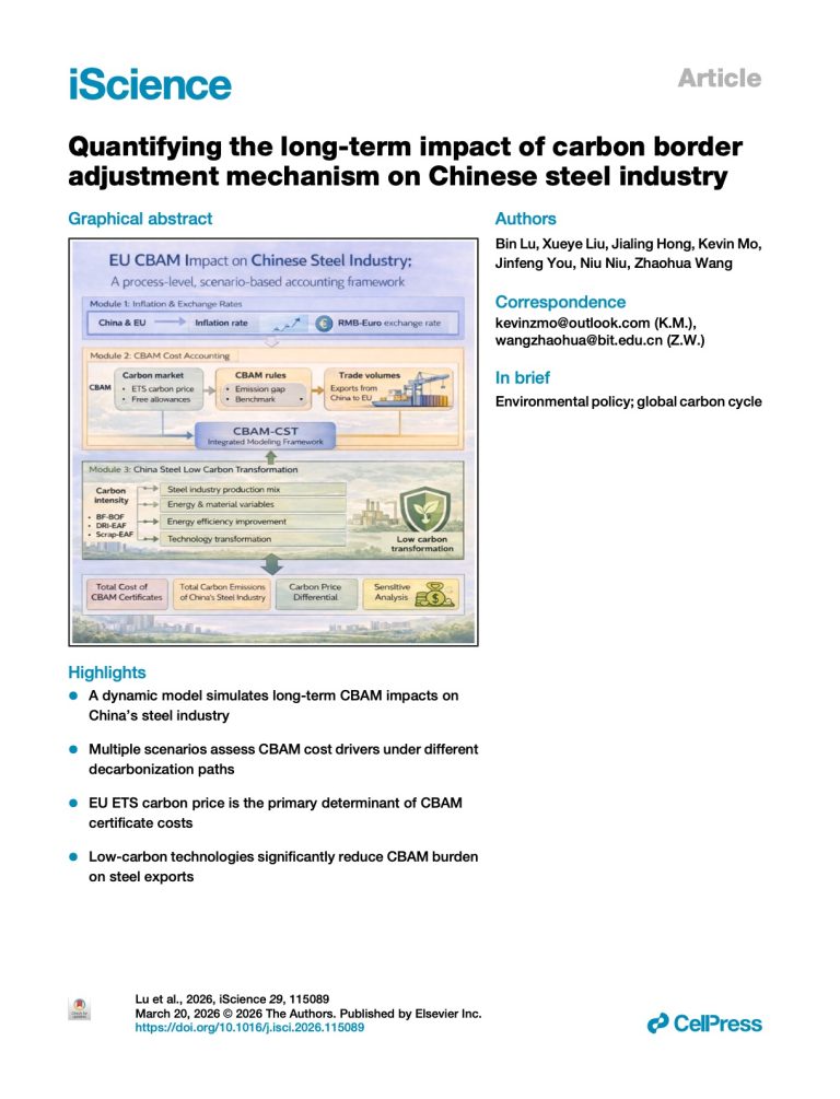 Quantifying the Long-Term Impact of the Carbon Border Adjustment Mechanism on the Chinese Steel Industry