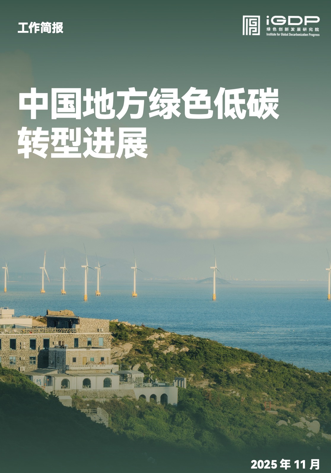 Progress in China's Local Green and Low-Carbon Transition