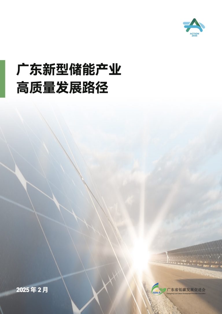 High-Quality Development Pathways for Guangdong’s New-Type Energy Storage Industry