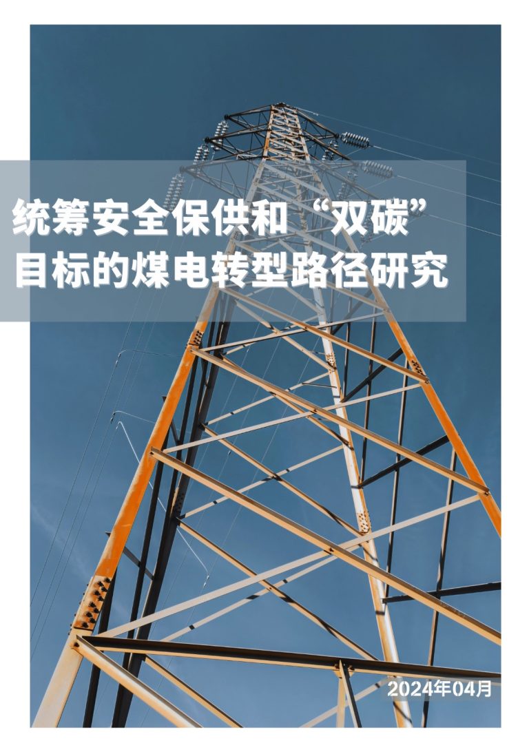Coordinating Security of Supply and Dual Carbon Goals