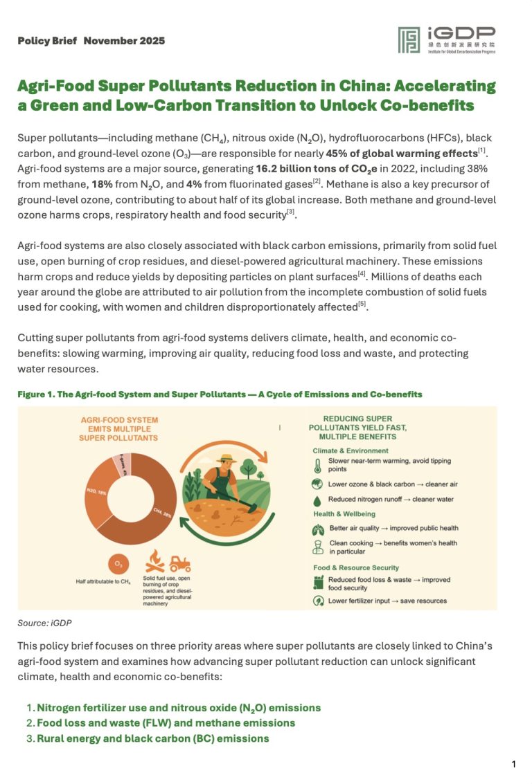 Agri-Food Super Pollutants Reduction in China