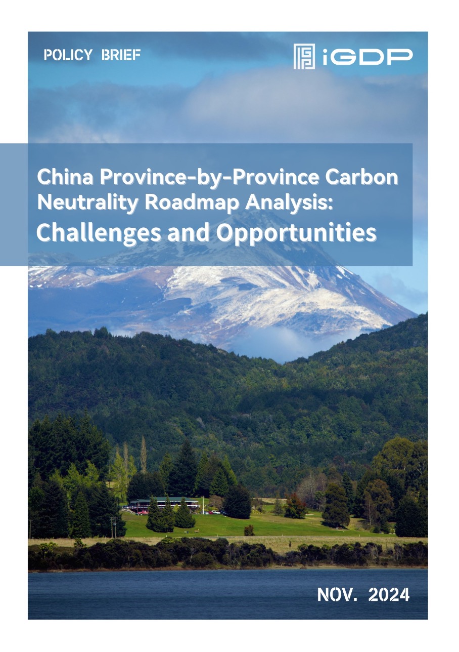China Province-by-Province Carbon Neutrality Roadmap Analysis