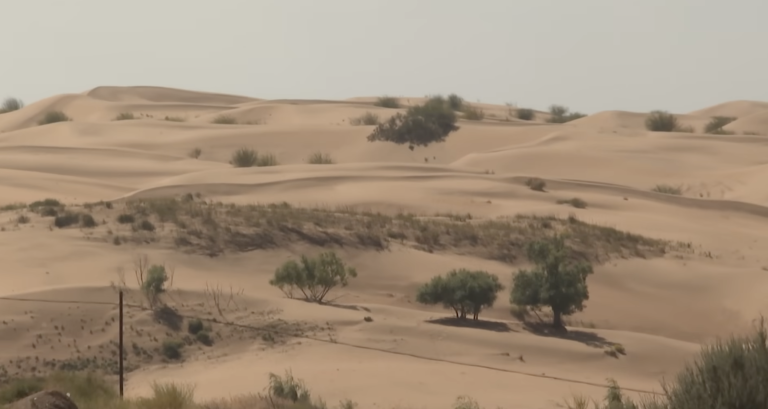 How China Reclaimed Inner Mongolia’s Deserts: From Sand Dunes To Green Oases | CNA Correspondent