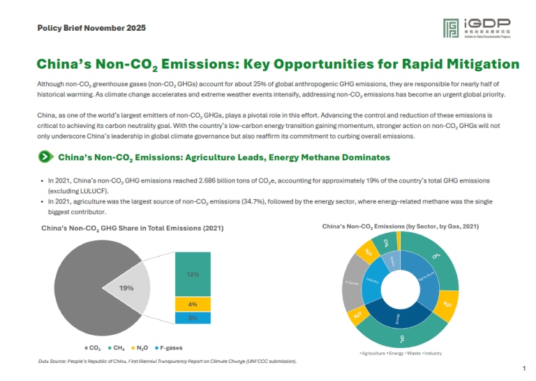 China’s Non-CO₂ Emissions: Key Opportunities for Rapid Mitigation
