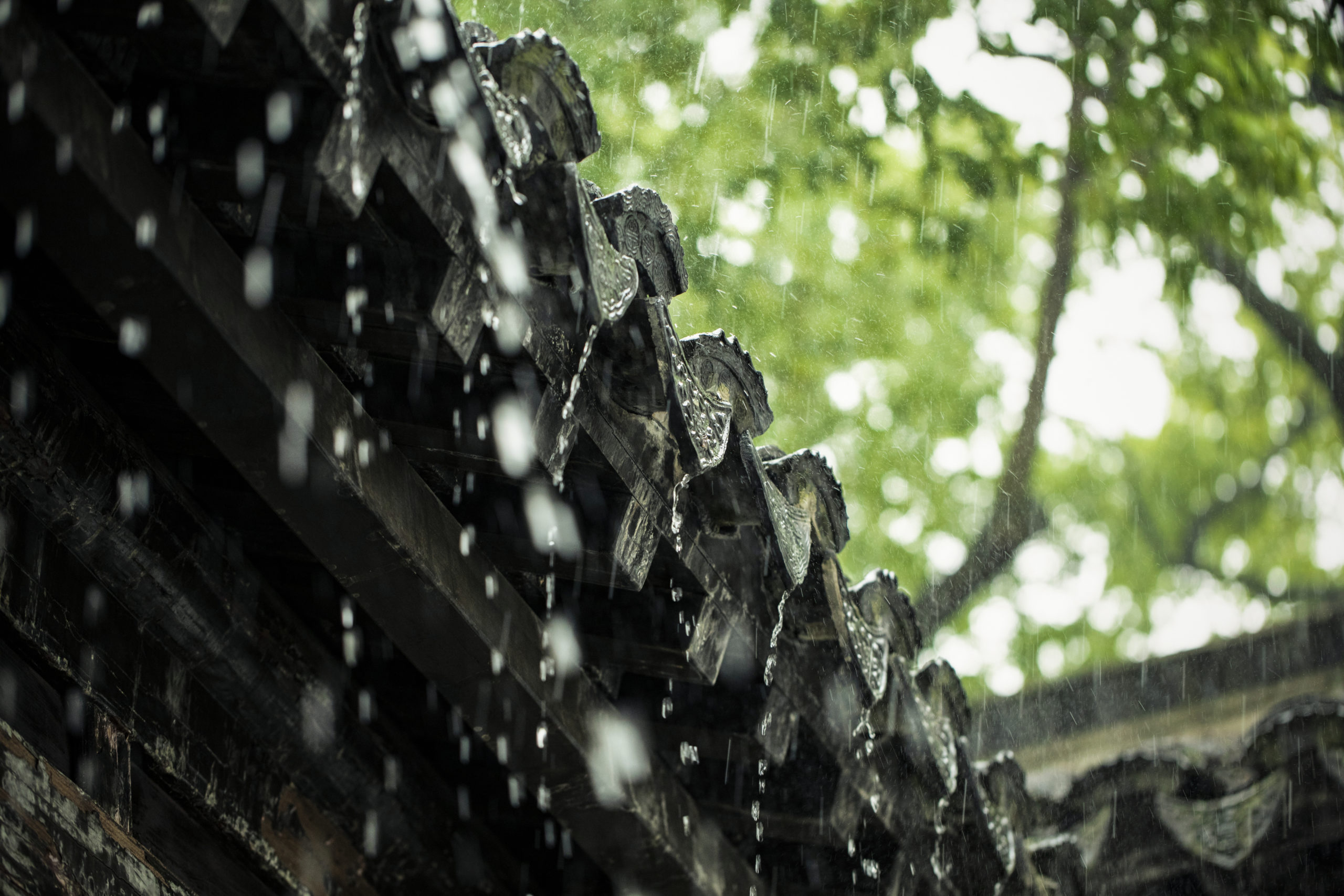Climate change intensifies Mei-yu rainfall in China 