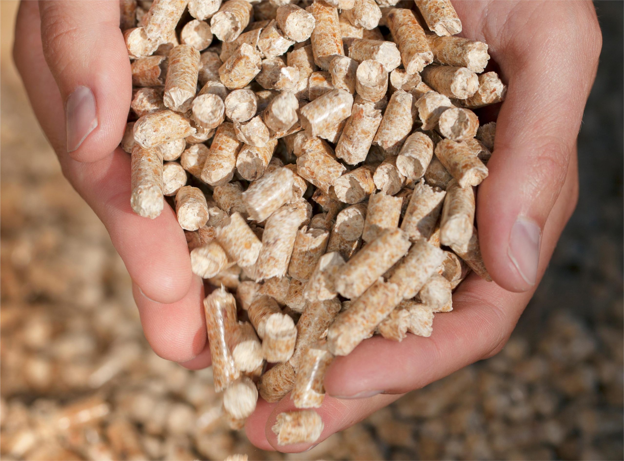 Storage and Transportation are key to effective utilization of biomass energy 