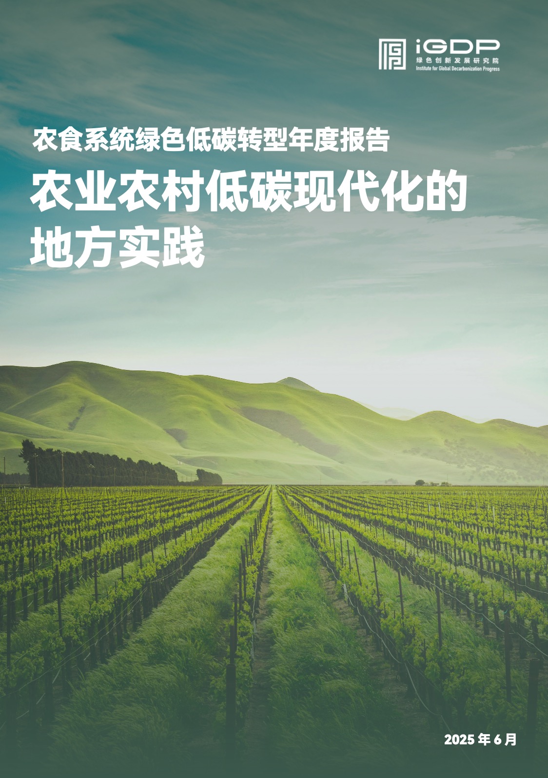 农食系统绿色低碳转型年度报告：农业农村低碳现代化的地方实践