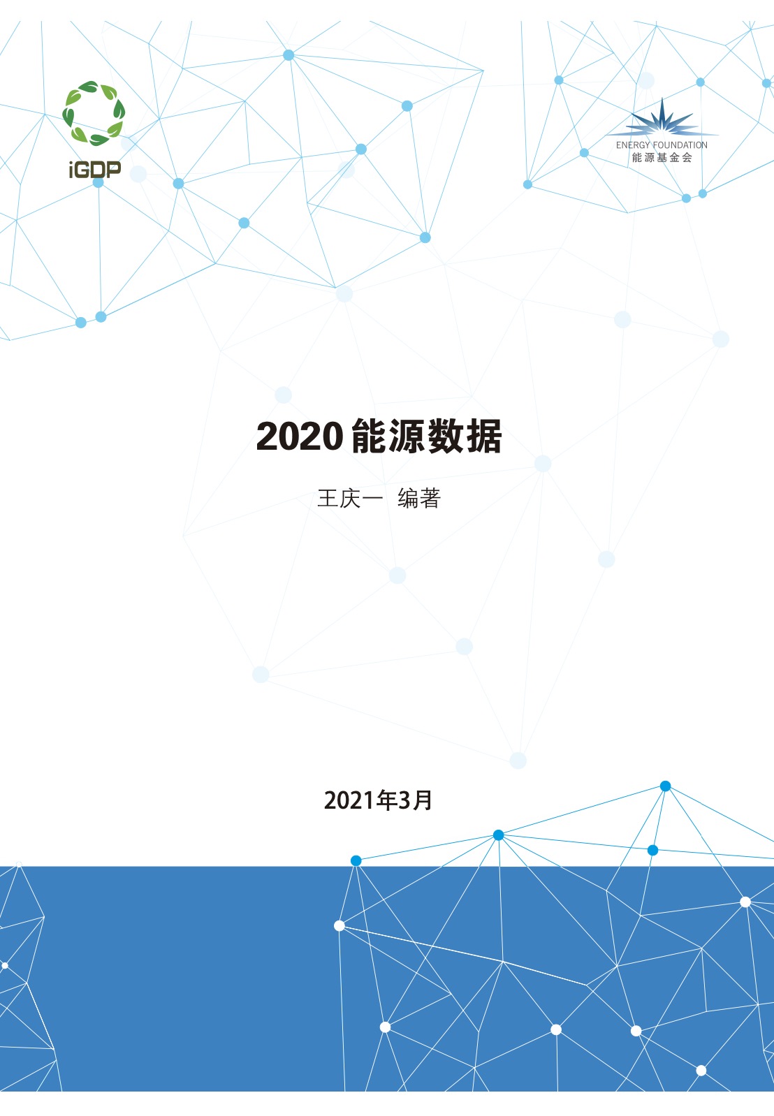 2020 能源数据