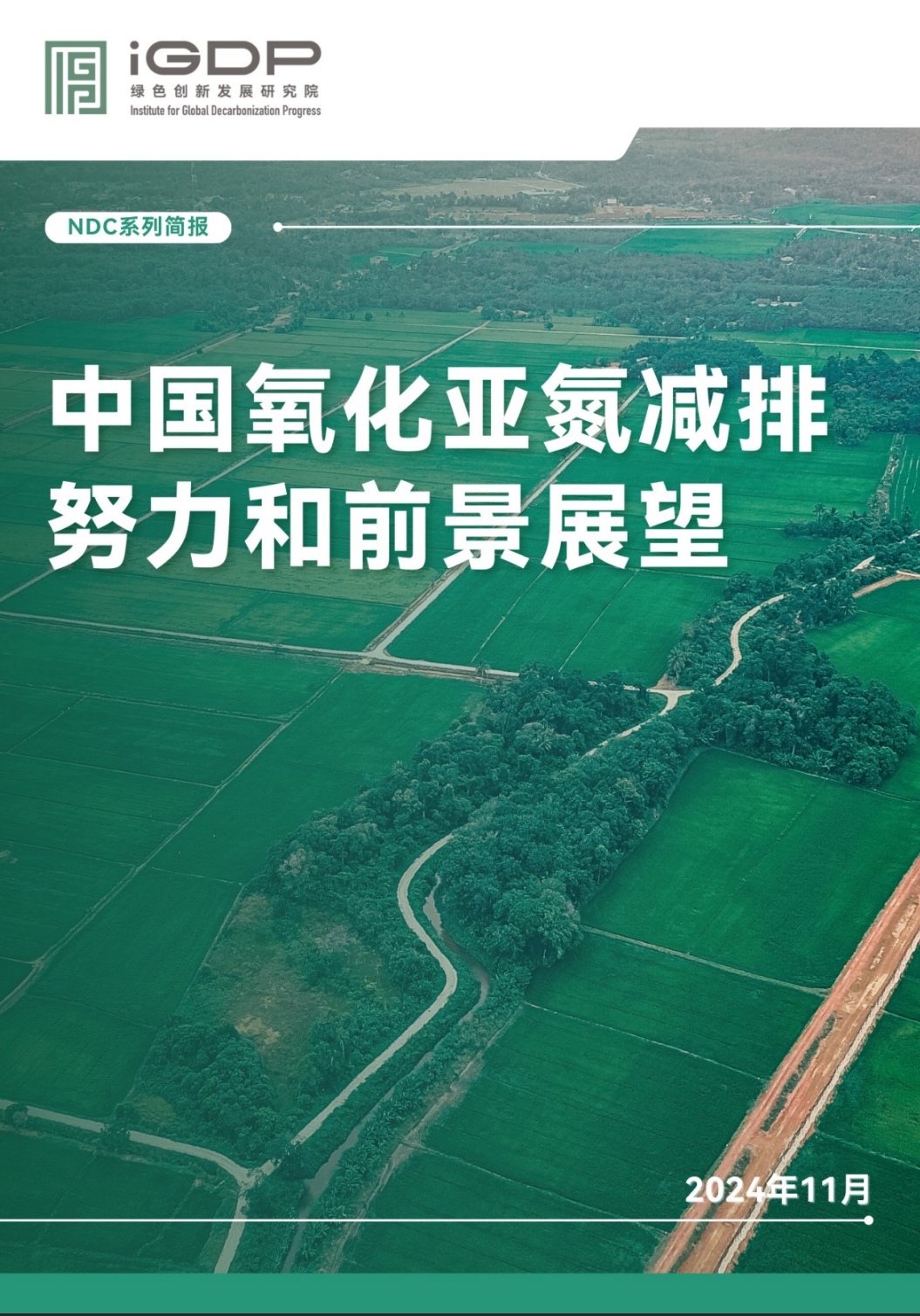 中国氧化亚氮减排努力和前景展望